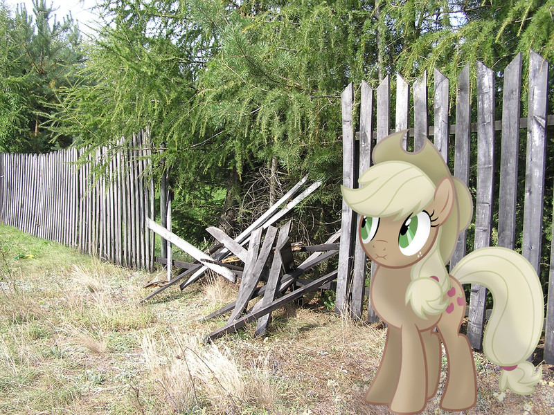 Size: 2048x1536 | Tagged: safe, artist:claritea, artist:missbeigepony, derpibooru import, applejack, pony, broken, discorded, fence, irl, liar face, liarjack, photo, ponies in real life, reference, scrunchy face, silly, silly pony, solo, tree, vector, who's a silly pony