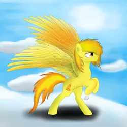 Size: 2000x2000 | Tagged: safe, artist:goforgold, derpibooru import, spitfire, pegasus, pony, cloud, cloudy, sky, solo