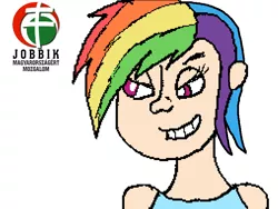 Size: 762x573 | Tagged: artist:queen-butterpop, derpibooru import, edit, human, humanized, hungarian, hungary, jobbik, politics, rainbow dash, safe, solo