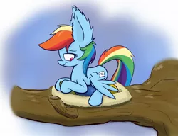 Size: 1300x1000 | Tagged: artist:heir-of-rick, behaving like a bird, bird nest, derpibooru import, ear fluff, egg, impossibly large ears, nest, rainbow dash, safe, solo