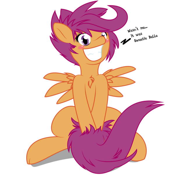 Size: 3628x3482 | Tagged: artist:knifeh, artist:tyler611, blushing, chest fluff, covering, derpibooru import, dialogue, female, purple eyes, purple mane, safe, scootaloo, simple background, smiling, solo, spread wings, tail covering, transparent background, wingboner, wings