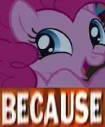 Size: 409x497 | Tagged: caption, derpibooru import, expand dong, exploitable meme, image macro, meme, pinkie pie, safe, solo, why.jpg