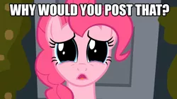 Size: 1054x592 | Tagged: derpibooru import, image macro, meme, pinkie pie, safe, why would you post that