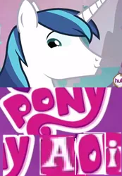 Size: 231x334 | Tagged: source needed, suggestive, derpibooru import, shining armor, expand dong, exploitable meme, gay, hub logo, looking at you, male, meme, smirk