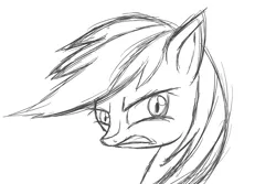 Size: 1280x853 | Tagged: artist:novaspark, derpibooru import, monochrome, rainbow dash, safe, sketch, solo