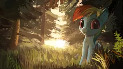 Size: 1191x670 | Tagged: dead source, safe, artist:moo, derpibooru import, rainbow dash, pegasus, pony, female, forest, mare, paintover, sitting, solo, tree