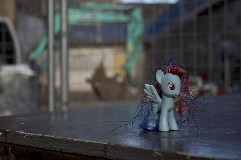 Size: 6000x4000 | Tagged: artist:explonova, brushable, derpibooru import, irl, photo, rainbow dash, safe, solo, toy