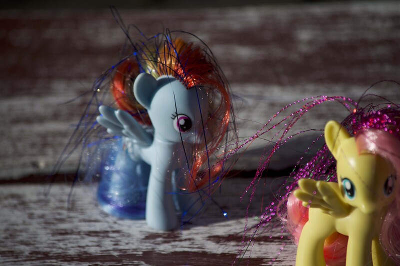 Size: 6000x4000 | Tagged: artist:explonova, brushable, derpibooru import, fluttershy, irl, photo, rainbow dash, safe, toy