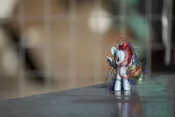 Size: 6000x4000 | Tagged: artist:explonova, brushable, derpibooru import, irl, photo, rainbow dash, safe, toy