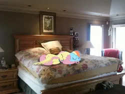 Size: 2592x1944 | Tagged: artist:flamevulture17, artist:that guy in the corner, artist:tokkazutara1164, bed, bottle, chair, derpibooru import, fluttershy, irl, lamp, photo, pillow, ponies in real life, rainbow dash, safe, sleeping, vector