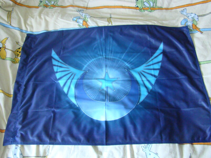 Size: 1280x960 | Tagged: safe, artist:emkay-mlp, artist:nishi199, derpibooru import, princess luna, emblem, flag, irl, new lunar republic, photo