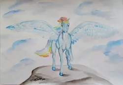 Size: 1024x707 | Tagged: artist:fairydraft, derpibooru import, rainbow dash, realistic, safe, solo, traditional art