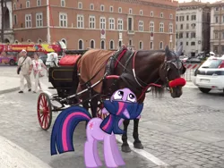 Size: 4288x3216 | Tagged: safe, artist:byteslice, artist:missbeigepony, derpibooru import, edit, twilight sparkle, horse, human, unicorn, blinders, bridle, building, bus, car, carriage, double decker bus, horse-pony interaction, irl, irl horse, photo, ponies in real life, rome, solo, tack, unicorn twilight, wagon