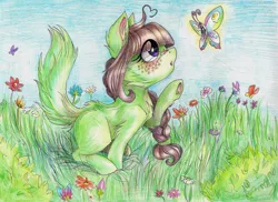 Size: 1280x932 | Tagged: artist:dearmary, butterfly, derpibooru import, flower, fluffy, grass, oc, safe, solo, unofficial characters only