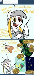 Size: 1201x2632 | Tagged: artist needed, ask, askthemothponies, butterfly, comic, derpibooru import, diagram, dialogue, educational, heterochromia, insect, mothpony, oc, original species, safe, solo, tumblr, unofficial characters only