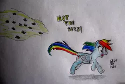 Size: 1024x689 | Tagged: artist:blueboxdave, bee, derpibooru import, not the bees, rainbow dash, running, safe