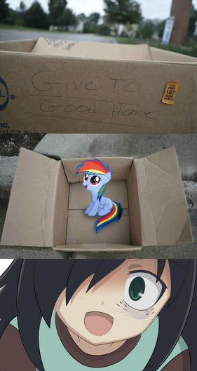 Size: 281x529 | Tagged: dashie meme, exploitable meme, izumi kitta, japanese, meme, neutral people finding dash meme, rainbow dash, safe, tomoko kuroki, voice actor joke, watamote