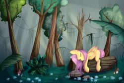 Size: 3000x2000 | Tagged: artist:joo13, derpibooru import, fluttershy, forest, safe, sleeping, solo