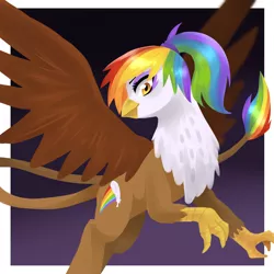Size: 3000x3000 | Tagged: safe, artist:kianamai, derpibooru import, oc, oc:rainbow feather, unofficial characters only, gryphon, hippogriff, cutie mark, interspecies offspring, magical lesbian spawn, next generation, offspring, parent:gilda, parent:rainbow dash, parents:gildash