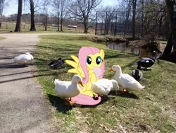 Size: 2592x1944 | Tagged: safe, artist:doctor-g, artist:tokkazutara1164, derpibooru import, fluttershy, duck, pegasus, pony, creek, female, fence, flock, irl, mare, milkshake, photo, ponies in real life, solo, tree, vector, walkway