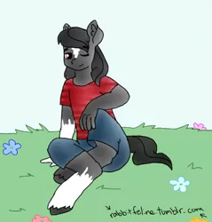 Size: 466x487 | Tagged: anthro, anthro oc, artist:bunnycat, clothes, commission, derpibooru import, flower, male, nature, oc, oc:fixer upper, safe, solo, unofficial characters only, wink