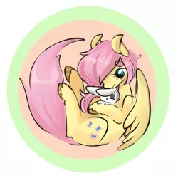 Size: 500x500 | Tagged: angel bunny, animal, artist:techtechno, button, derpibooru import, fetal position, fluttershy, hooves, pet, rabbit, safe, solo, thick eyebrows