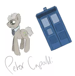 Size: 810x826 | Tagged: safe, artist:ponykai, derpibooru import, ponified, pony, doctor who, male, peter capaldi, solo, stallion, tardis, twelfth doctor