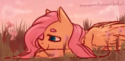 Size: 1545x751 | Tagged: artist:marshmellowcannibal, derpibooru import, flower, fluttershy, lying, safe, smiling, solo, unshorn fetlocks