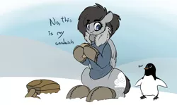 Size: 1280x765 | Tagged: artist:blah-blah-turner, clothes, derpibooru import, eyelashes, floppy ears, frown, hoof hold, noot noot, oc, penguin, safe, sandwich, sitting, snow, unofficial characters only