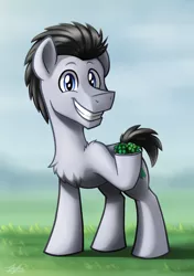 Size: 2163x3077 | Tagged: safe, artist:bcpony, derpibooru import, lucky clover, earth pony, pony, background pony, chest fluff, clover, commission, cute, four leaf clover, looking at you, male, smiling, solo, stallion