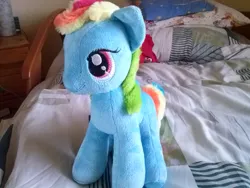 Size: 1280x960 | Tagged: cute, derpibooru import, irl, nici, official, photo, play by play, plushie, rainbow dash, safe
