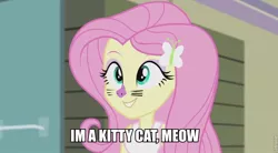 Size: 842x464 | Tagged: safe, derpibooru import, edit, screencap, fluttershy, cat, equestria girls, rainbow rocks, 1000 hours in ms paint, face paint, image macro, meme, ms paint, solo