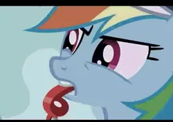 Size: 547x388 | Tagged: safe, derpibooru import, screencap, rainbow dash, may the best pet win, baseball cap, blowing, hat, mouth hold, needs more jpeg, solo, whistle