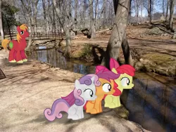 Size: 2592x1944 | Tagged: safe, artist:90sigma, artist:thatguy1945, artist:tokkazutara1164, derpibooru import, apple bloom, big macintosh, scootaloo, sweetie belle, earth pony, pony, bridge, creek, cutie mark crusaders, forest, irl, male, photo, ponies in real life, stallion, vector