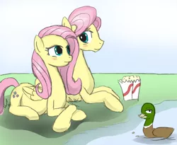 Size: 1488x1222 | Tagged: safe, artist:patch, derpibooru import, fluttershy, duck, mallard, pegasus, pony, belly, blushing, butterscotch, colored, female, male, mare, pregnant, rule 63, self ponidox, selfcest, shipping, stallion, straight