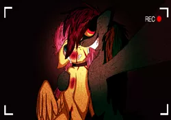 Size: 1000x700 | Tagged: abuse, artist needed, blood, bruised, collar, crying, dark, derpibooru import, flutterbuse, fluttershy, grimdark, insane face, nightmare fuel, psycho, rainbow dash, recording, scratches, torture