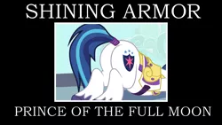 Size: 2000x1125 | Tagged: artist needed, safe, artist:mlp-silver-quill, derpibooru import, shining armor, pony, armor, butt, male, mooning, motivational poster, plot, prince shining armor, shieldbutt, solo, stallion, tail wrap, text