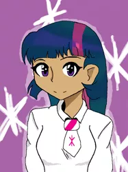 Size: 640x857 | Tagged: safe, artist:leekrunner, derpibooru import, twilight sparkle, human, humanized, pixiv, solo