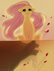 Size: 850x1130 | Tagged: safe, artist:thecuriousfool, derpibooru import, discord, fluttershy, comic, crying, discoshy, female, male, petals, shipping, straight