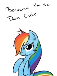 Size: 480x640 | Tagged: artist needed, safe, derpibooru import, rainbow dash, pegasus, pony, alternate hairstyle, bedroom eyes, bipedal, chest fluff, cute, dashabetes, ear fluff, fact, female, fluffy, image, lidded eyes, looking at you, mare, messy mane, png, simple background, solo, text, transparent background, truth