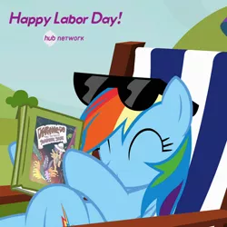 Size: 548x549 | Tagged: safe, derpibooru import, official, screencap, daring do, rainbow dash, pegasus, pony, too many pinkie pies, book, cropped, daring do and the sapphire statue, female, hub logo, hub network, labor day, mare, sunglasses, text, the hub