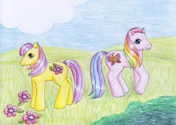 Size: 1024x730 | Tagged: safe, artist:normaleeinsane, derpibooru import, royal bouquet, wind drifter, flower, g3, traditional art