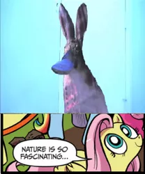 Size: 392x471 | Tagged: derpibooru import, exploitable meme, fluttershy, meme, nature is so fascinating, nostalgia critic, obligatory pony, platypus bunny, safe, the last airbender