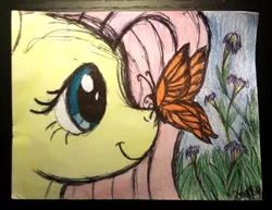 Size: 1306x1008 | Tagged: safe, artist:thefriendlyelephant, derpibooru import, fluttershy, butterfly, insect, pegasus, pony, butterfly on nose, flower, insect on nose, profile, smiling, solo, traditional art