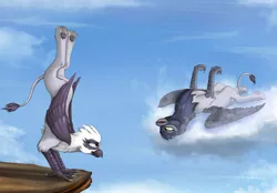 Size: 1280x893 | Tagged: safe, artist:lucky dragoness, derpibooru import, giselle, irma, natalya, gryphon, balancing, cloud, cloudy, eye contact, fluffy, legs in air, on back, sky, smiling, training
