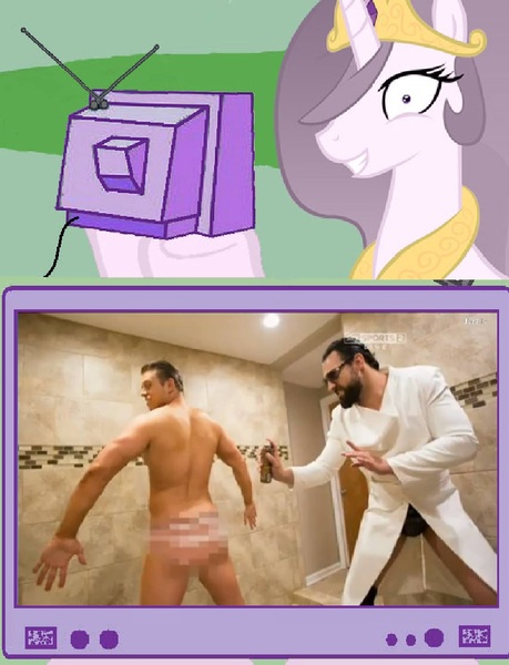 Size: 771x1008 | Tagged: damien sandow, derpibooru import, dolph ziggler, exploitable meme, meme, obligatory pony, princess celestia, princess molestia, questionable, raw, the miz, tv meme, wwe