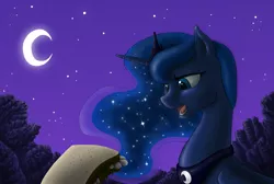 Size: 2000x1343 | Tagged: safe, artist:anadukune, derpibooru import, princess luna, night, sandwich, solo