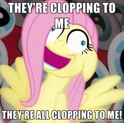 Size: 576x568 | Tagged: suggestive, derpibooru import, edit, edited screencap, screencap, fluttershy, pegasus, pony, hurricane fluttershy, caption, clopping, derp, faic, female, image macro, implied masturbation, insanity, inverted mouth, mare, meme, open mouth, smiling, solo, wide eyes