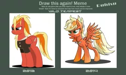 Size: 1255x744 | Tagged: safe, artist:ruhisu, derpibooru import, oc, oc:brave wing, oc:wild tempest, unofficial characters only, pegasus, pony, clothes, daughter, draw this again, female, jacket, mare, medal, pilot, redesign, smiling, solo