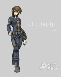 Size: 1195x1501 | Tagged: artist:ganzerul, clothes, derpibooru import, edit, fallout equestria, fanfic, fanfic art, female, gray background, human, humanized, jumpsuit, light skin, oc, oc:littlepip, pipboy, pipbuck, safe, simple background, solo, text, unofficial characters only, vault suit